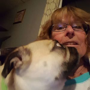 Meet your Posher, Donna